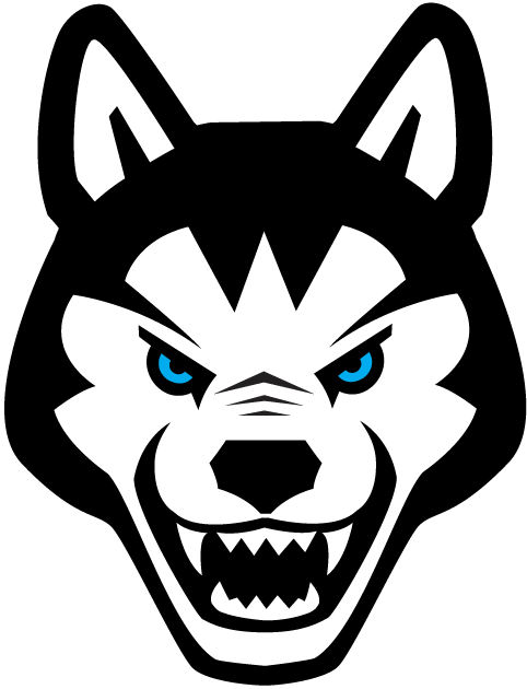 Northeastern Huskies 2001-2006 Alternate Logo iron on transfers for fabric